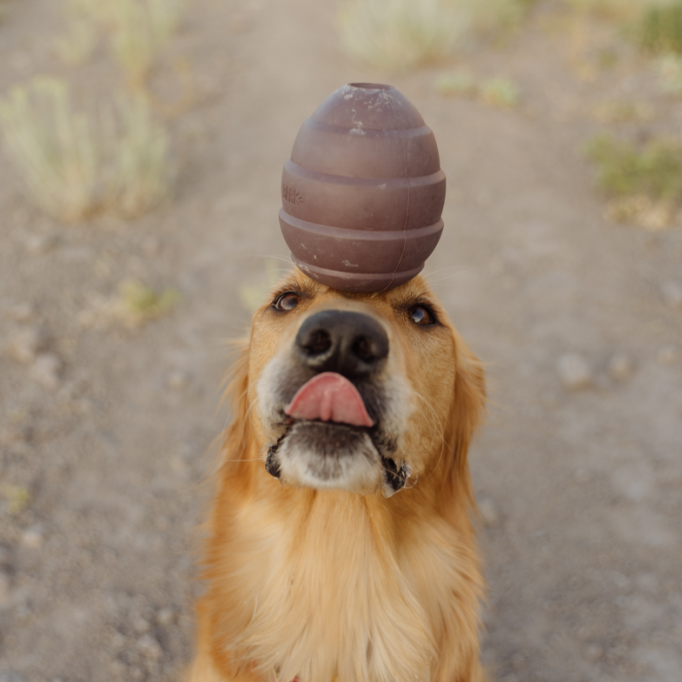 Pup&#39;s Treat Pinecone