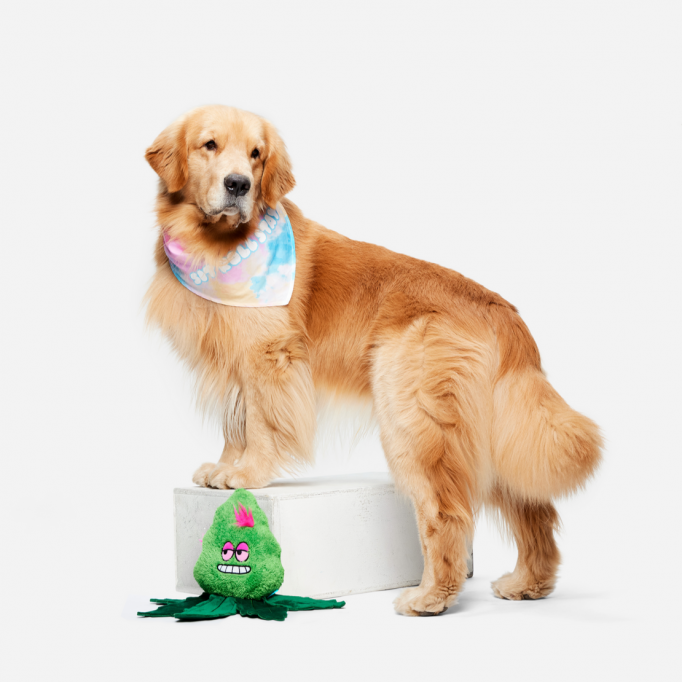 Best Bud Toy &amp; Bandana Bundle