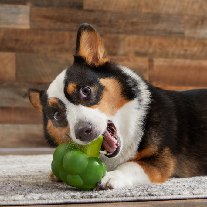 Brawny Broccoli