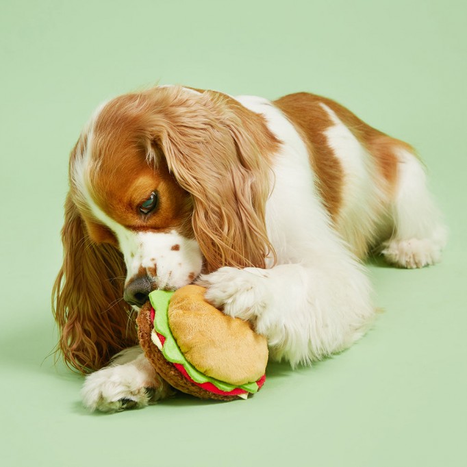 BarkBurger